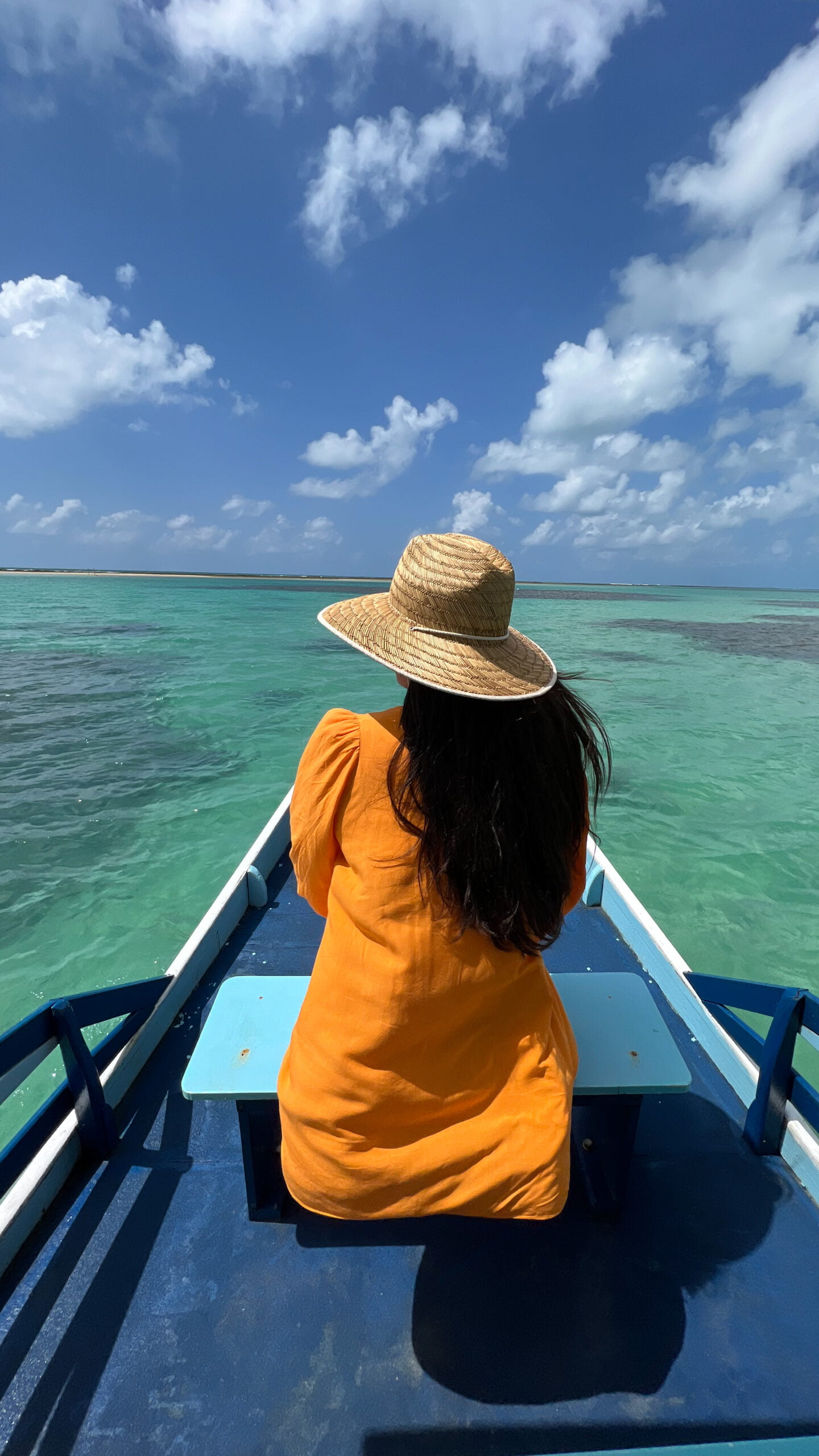 shared3(1) shared3(1)